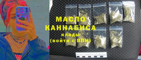 твердый Дмитриев