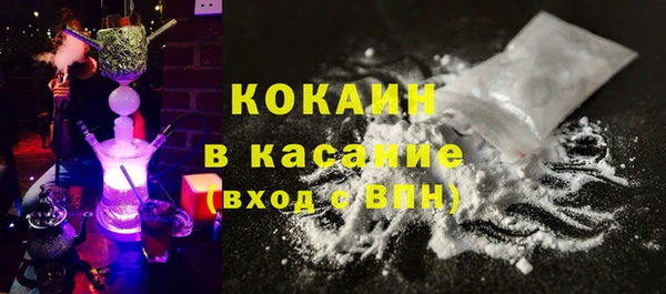 твердый Дмитриев