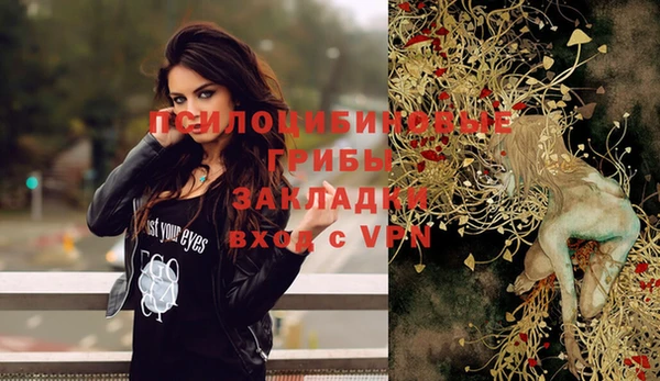 твердый Дмитриев