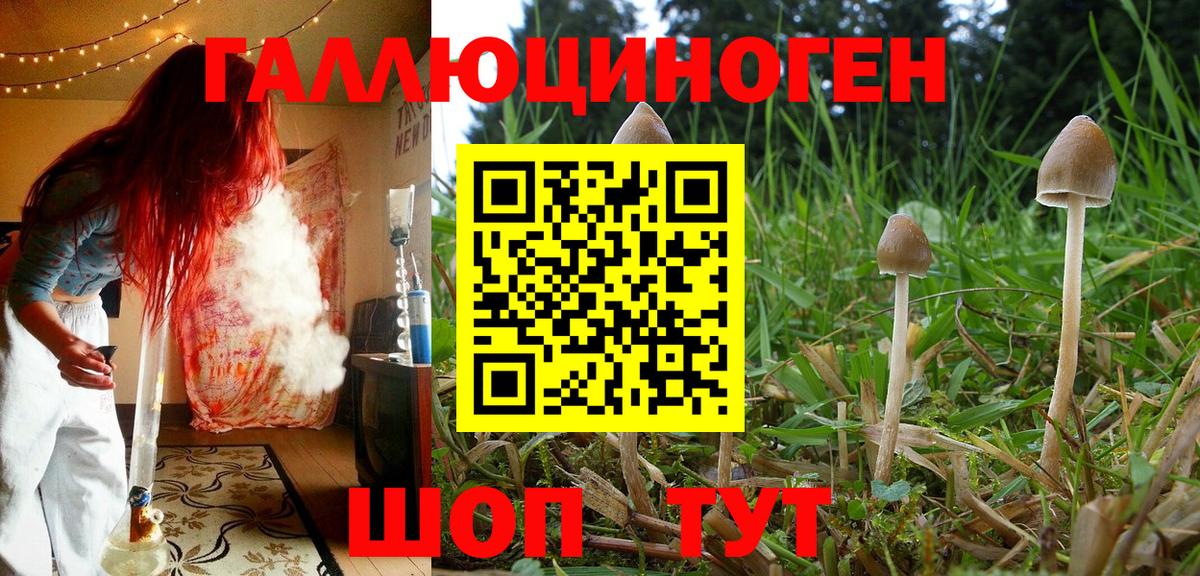 Псилоцибиновые грибы GOLDEN TEACHER Назарово