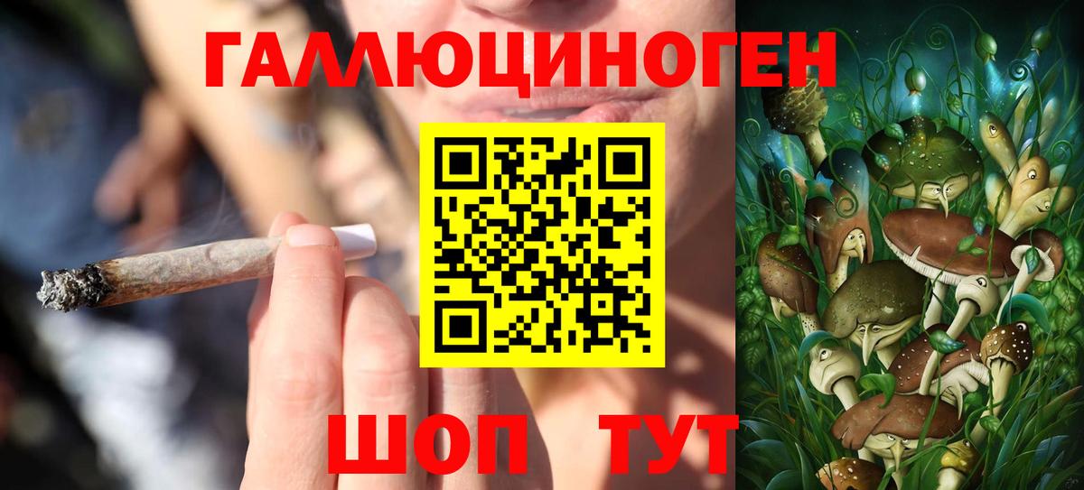 Галлюциногенные грибы мицелий  Галлюциногенные грибы Psilocybine cubensis  Вход с VPN  Назарово 